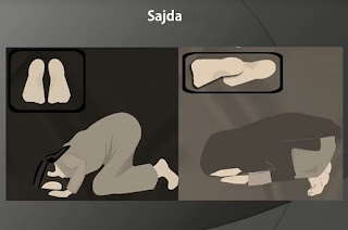 Sajda