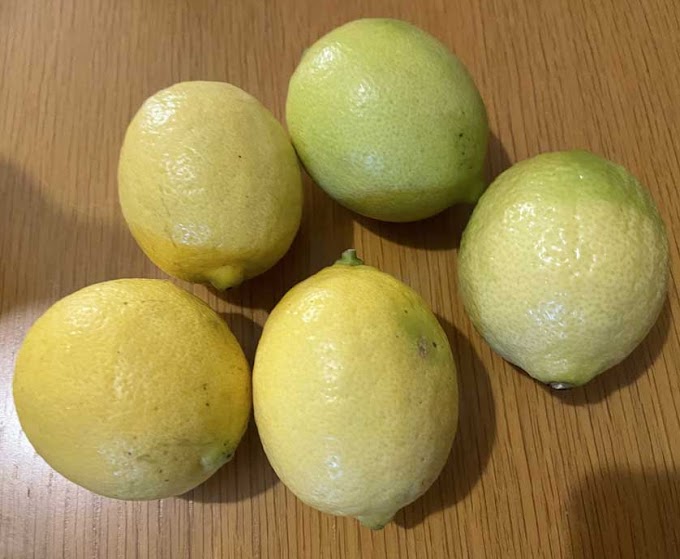 New Zealand Lemons