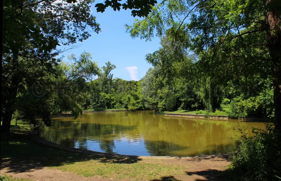 La Gradina Botanica, Bucuresti