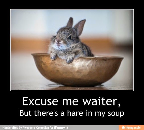 Funny Rabbit Memes On Pinterest Rabbit Bunnies And Angora Rabbit