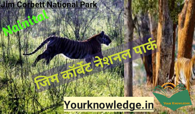  कार्बेट राष्ट्रीय उद्यान | Jim Corbett National Park