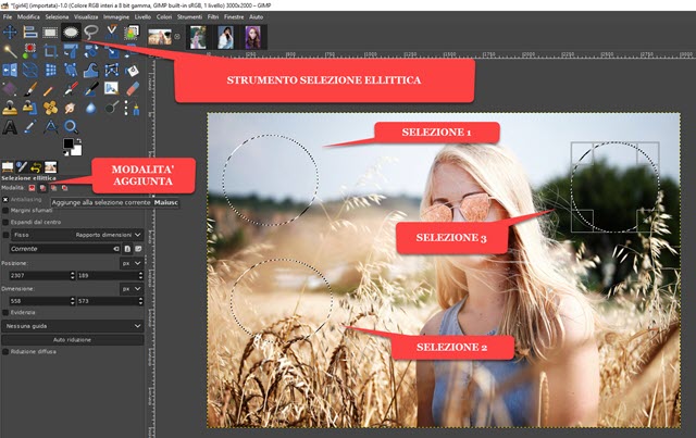 creare selezioni ellittiche in una immagine