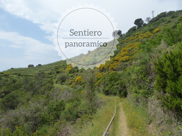 Sentiero alternativo da Riomaggiore a Corniglia