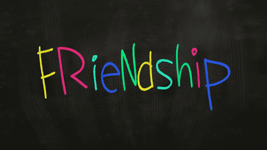 essay on friendship