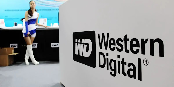 Another Zero-day found in Western Digital network Storages
