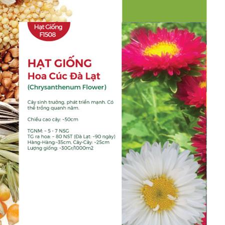 Hạt giống Hoa cúc Đà Lạt mix 201AQ