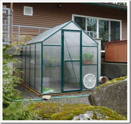 greenhouse 1