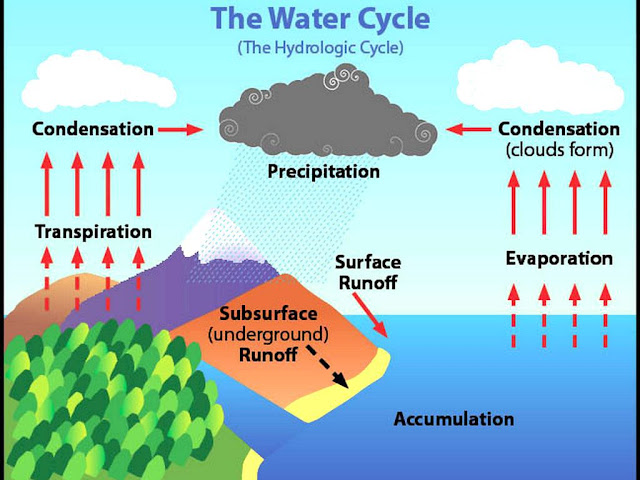 Water Cycle Image