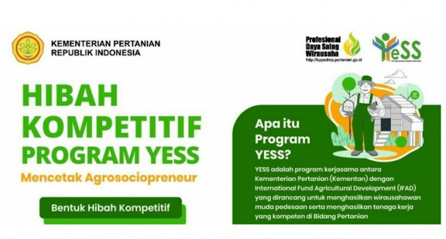 Hibah Kompetitif Program YESS: Membantu Pertumbuhan Bisnis Anda dengan Dana Bantuan yang Berharga