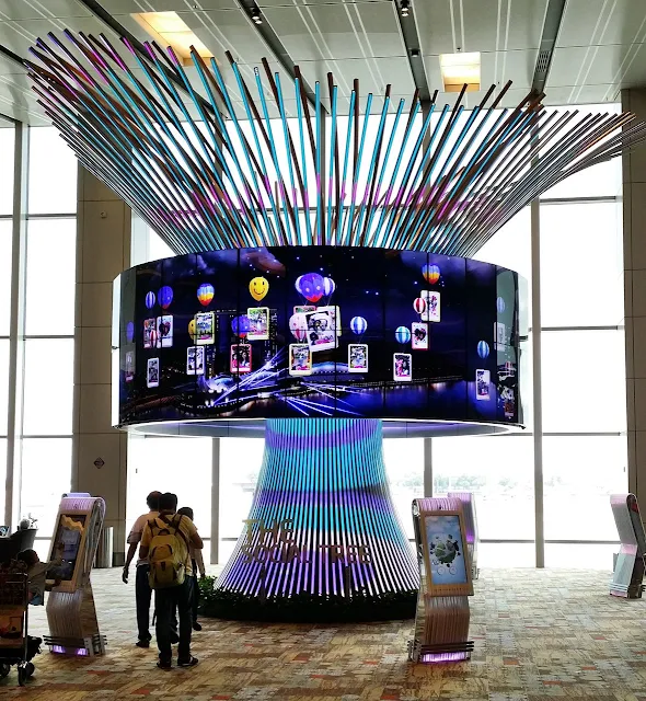 樟宜機場-擎天大樹屏幕