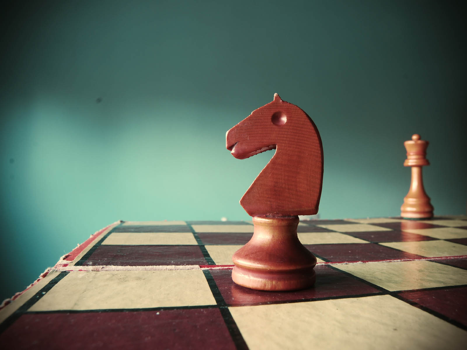 wallpapers: Chess Horse Wallpapers