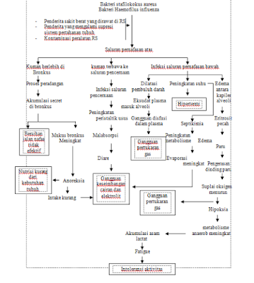 Pathway Pneumoni