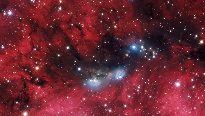 NGC 6914 e Cygnus OB2