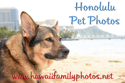 Oahu Photography