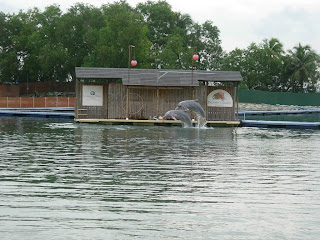 Dolphin Lagoon, Sentosa, Singapore