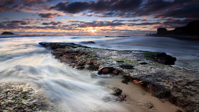 water in sea and star fishes