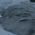 Inilah Misteri Sosok Mirip Monster di Sungai Es