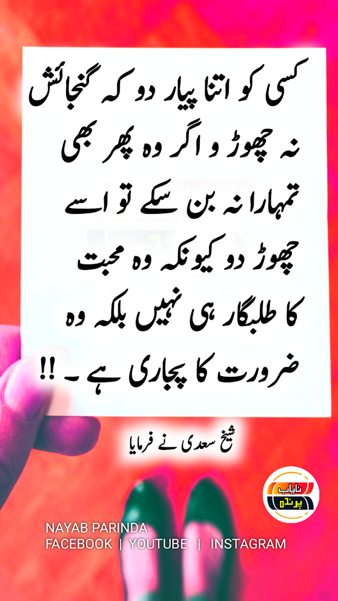 800+ Best Quotes in Urdu 