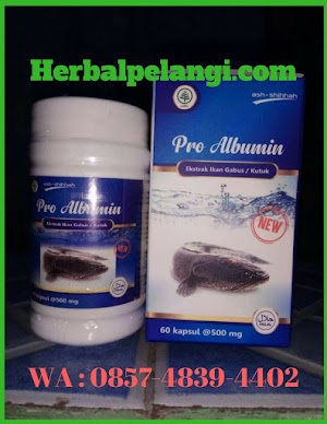 Jual Kapsul Pro Albumin Di Tanjung Jabung Barat | WA : 0857-4839-4402