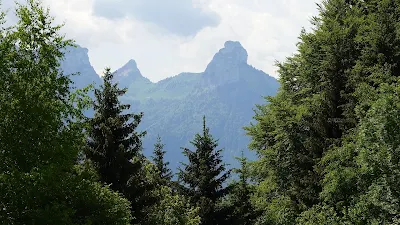 HD Wallpaper Grass, Lawn, Trees, Mountain