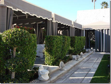 Palm Springs 3 127