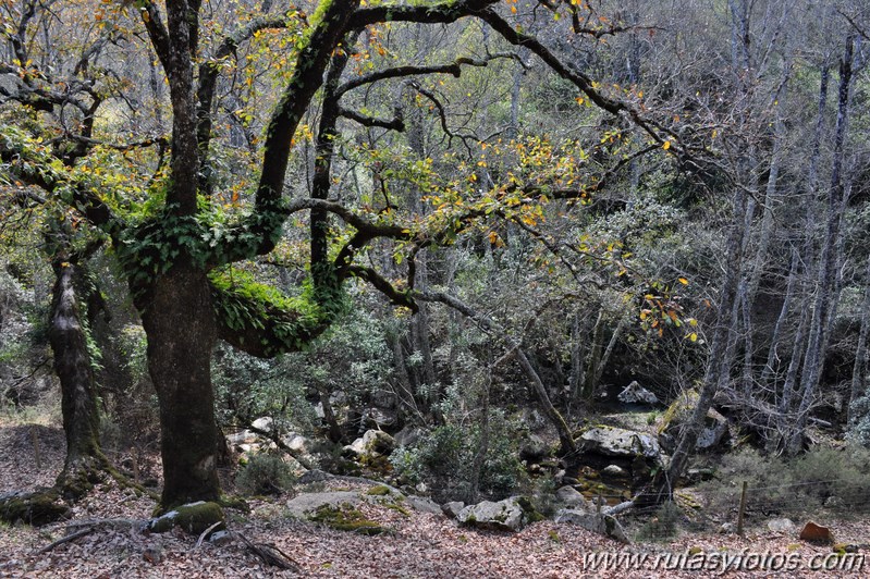 El Colmenar - Jimena de la Frontera