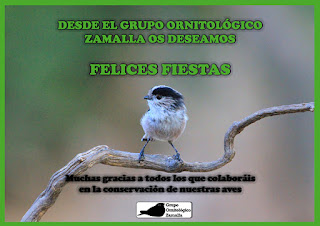 Grupo Ornitológico Zamalla