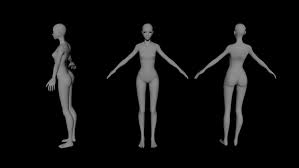 Female body model 3d free | Female Body model 3D