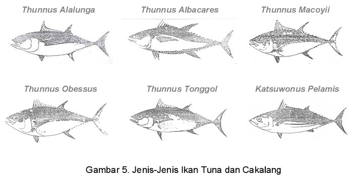 berita lain: Kandungan Gizi Berbagai Jenis Ikan Per 100 Gram