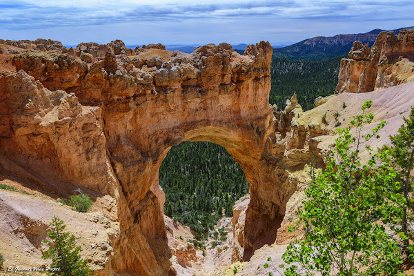 Bryce Canyon, Natural Bridge - Utah, por El Guisante Verde Project