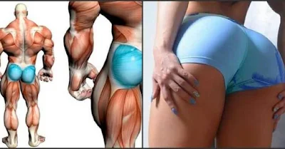 5 Exercises For a Strong Butt !