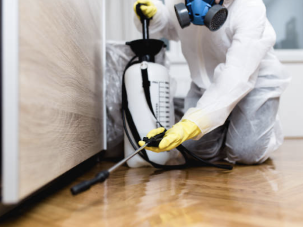 Safety Precautions for Using Pest Control At Home: Tips From Reliable Exterminators