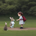 Little girl picking up a rabbit