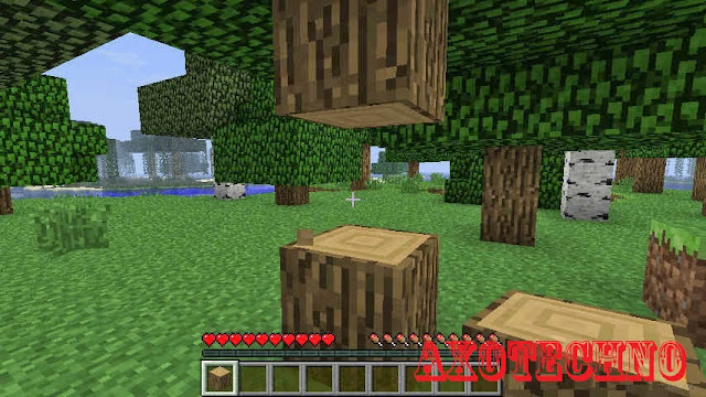 Tips Bermain Minecraft Survival Mode