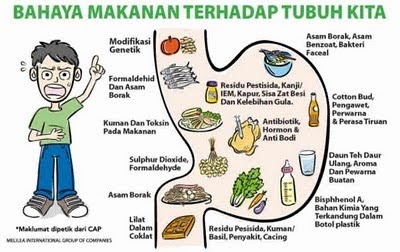 Koyok Murah + Detox Patch Murah