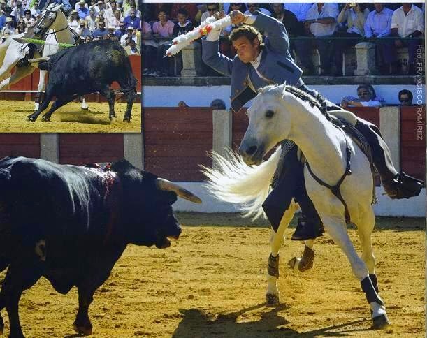 Raúl Martín Burgos, equitación y tauromaquia