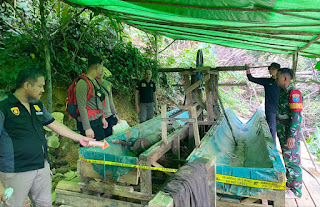 Tim Gabungan Temukan 26 Lobang Bekas PETI di Bukit Hitam