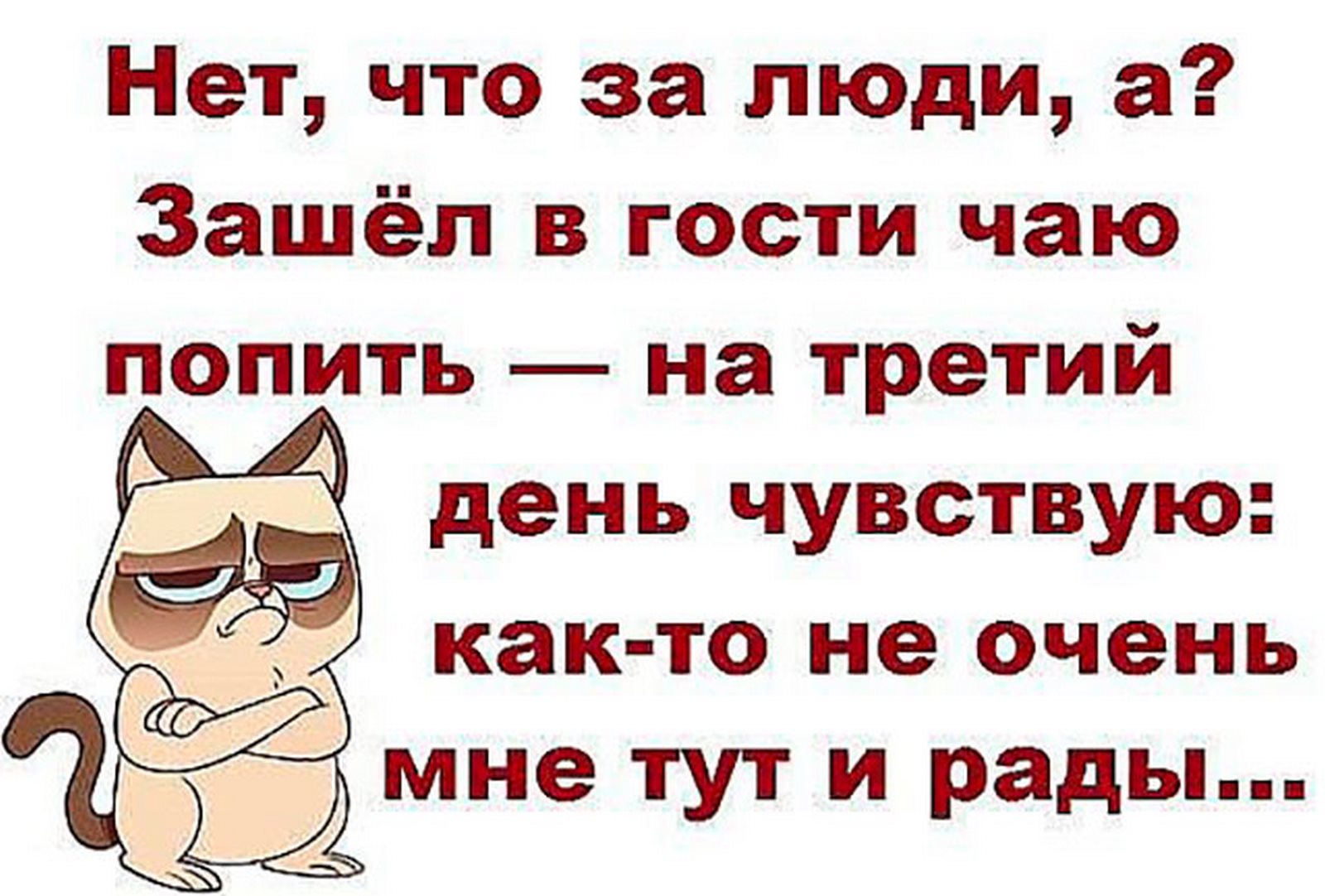 Не готов не рад не должен. Смешные фразы про гостей. Шутки про гостей. Прикольные фразы для гостей. Цитаты про гостей.