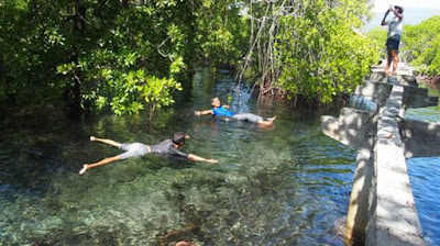 hutan mangrove, gili sulat, gili sulat lombok, wisata lombok, tempat wisata lombok