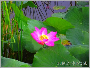 DSCF5059