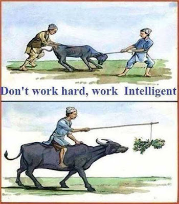 working-smart- is- better- than- working- hard