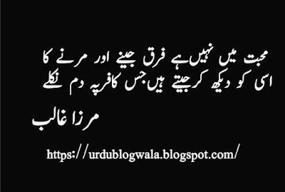 urdu poetry 2 lines attitude