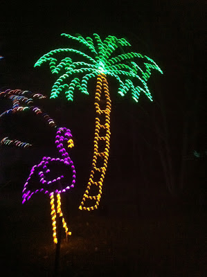 Christmas Lights at the National Zoo