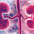 Dietas com pouco carboidrato prejudicam a função renal?