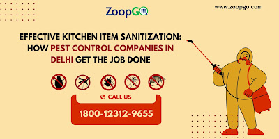 pest control in delhi