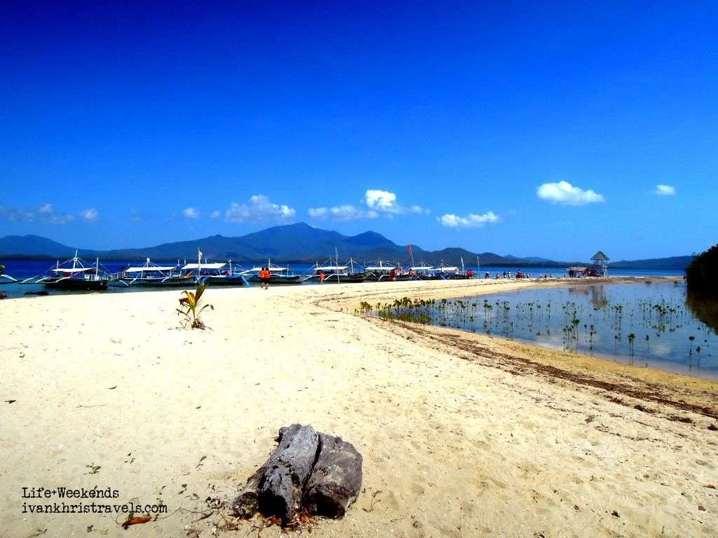 Honda Bay Island Hopping Tour white sands of Starfish Island