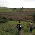 La forêt de Temara Rabat 