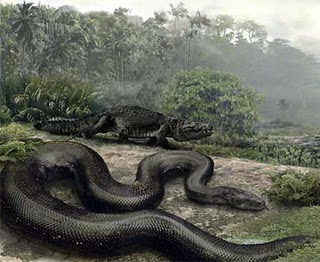 Titanoboa