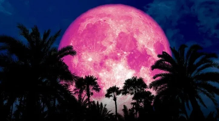 গোলাপি চাঁদ ছবি - গোলাপি চাঁদ পিকচার  - গোলাপি চাঁদ ফটো - pink moon pic - insightflowblog.com - Image no 17