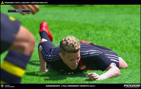 Update PES 2015 Pesmonkey Pitch, Weather & Graphics Mod V2.0